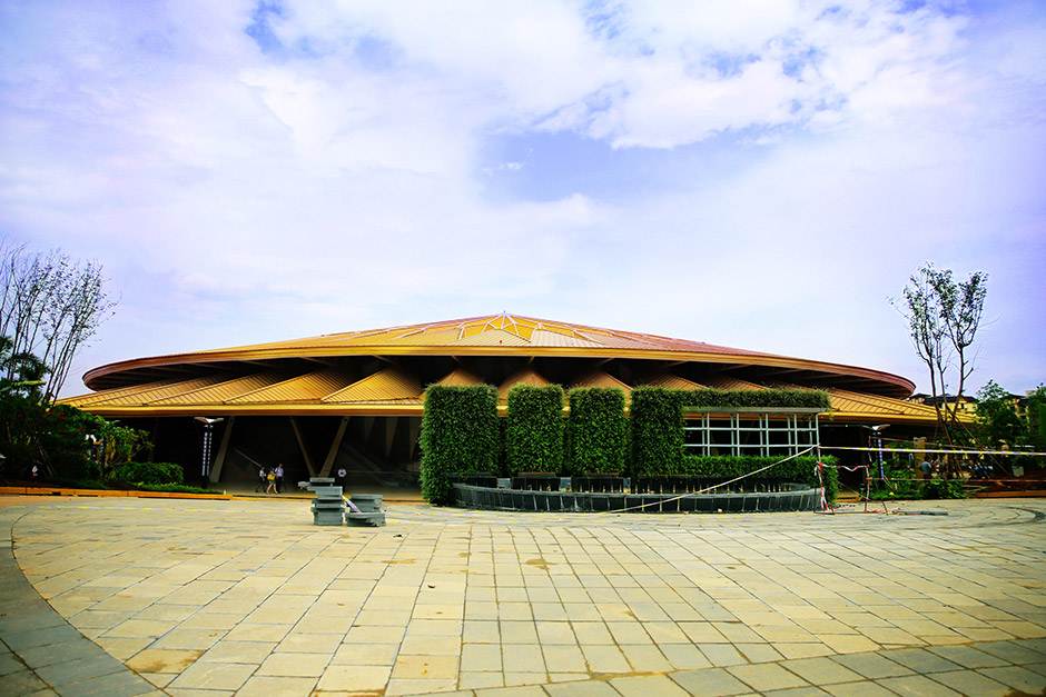 iconic live shows and entertainment dragone